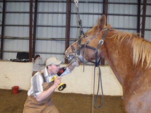 Tabby Road Animal Hospital is a mixed animal veterinary practice dedicated to providing high quality health care to large and small animals.