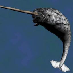 Marine life lover. Spreading the mysteries of the most misunderstood and least known creatures to inhabit the planet.