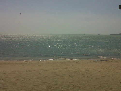 Juanfe2620's profile picture. 