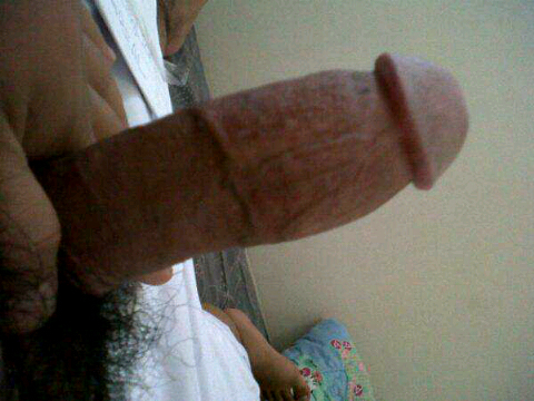 JametSex's profile picture. Kontol relatif indo....
