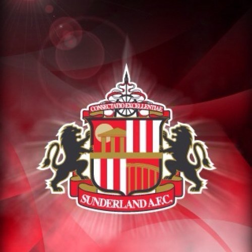 RokerLad's profile picture. it's in the DNA #safc