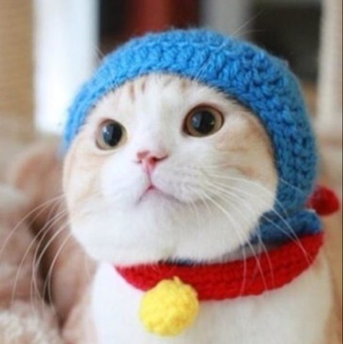 samin811's profile picture. 