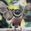 Florence Frederick - @lawrencefred - Twitter