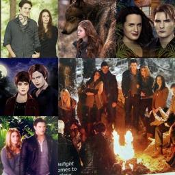 TwiHards! Twilight,newmoon,eclipse,breaking dawn ♥