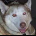 mary lush - @sukimommy - Twitter