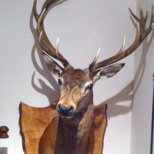 lw_norfolk's profile picture. 