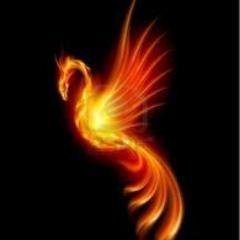 kimiourakawa's profile picture. はじめまして、浦川と申します。40歳です。自営業（小さな雑貨屋）者です。思い切ってはじめてみました。よろしくお願いします。自分の世界が狭いので、色んな方の話を聞いてみたいです。私自身あまりつぶやく内容はないので、偉人の声なんかをつぶやくことになりそうです。よろしくお願いします。相互フォロー歓迎。