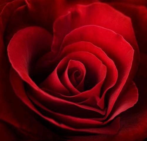 Poetry..all the intermediaries between Love and pain create the platform for me to write..aspiring author & Humanitarian.. Palestine in my Heart and Soul!