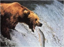 Rather be fishing!