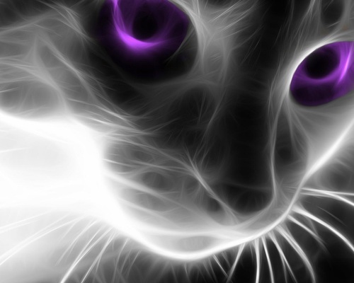 動物を殺すな Gizukumamonyu1 Twitter