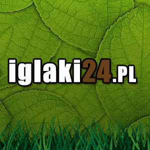 http://t.co/yJ41t9ug4c to internetowy sklep ogrodniczy online z roślinami. Oferujemy sadzonki roślin jak i okazałe piękne, duże rośliny ozdobne. Zapraszamy!