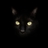 zikmanouch's profile image