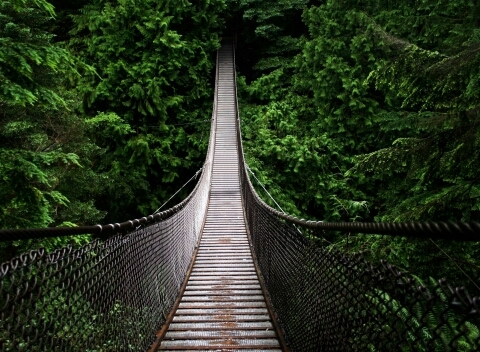 sarahmaljohani's profile picture. 