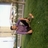 shohel8655's profile image