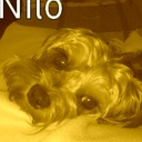 Loli Luna Doncel - @DoncelLuna - Twitter