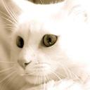 olga saez de vicuña  - @DeVicua - Twitter