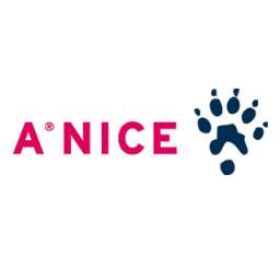 ANICEmoment's profile picture. 