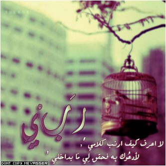 رﺑيّ ﺂﮔﭠب ﻟيّ ﻓي ﺂﻳﺂﻣي ﺂﻟﻗڒﻳﺑھ ﺂﻟﻗآدﻣھ ﻓرﺣھ ﭠﻏﻳر ﺑھآﻣﺟرێ ﺣﻳﺂﭠيّ ﻟﺂﻟآﺑدّ ---