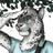 Qestpl's avatar