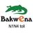 Bakwena Platinum