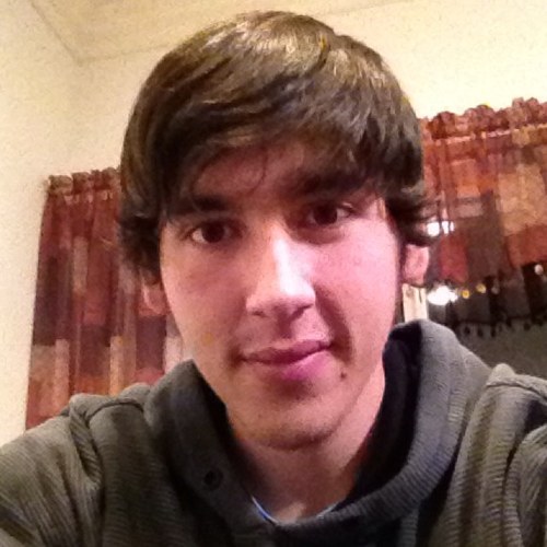 Shizloops's profile picture. 