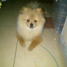 stephanietirtab's profile picture. 