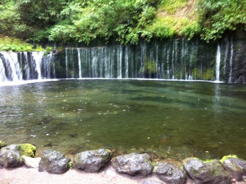 bbbjackin's profile picture. 2018年の9月ごろから俳句を始めました。俳句ポスト365、一句一遊、俳句生活等に投句中