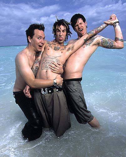 all things blink
