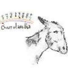 BurrolandiaAMB's profile picture. El hogar de los burritos en Madrid. Ven a visitarnos, pasarás un domingo en familia genial!!