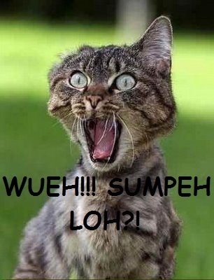 Mau eksis? tapi sok eksis gak terkenal lagi. kasian ya.. mending FOLLOW kita, biar kita wakilin perasaan lo yang mau nyindir orang kebelet eksis.