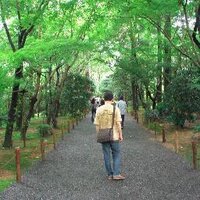 Sebas (@shunchi00) 's Twitter Profile Photo