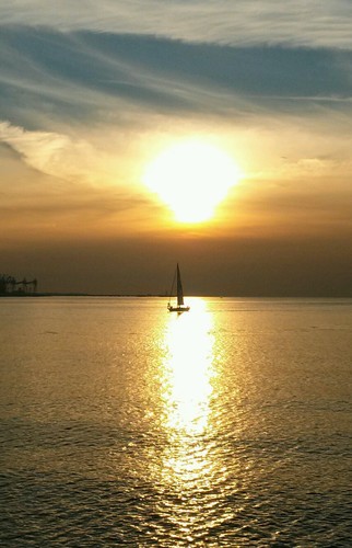 jyoh1225's profile picture. 법치가 바로서는나라를 바라며