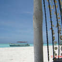 Andreina  Herrera - @andrelhi - Twitter