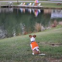 Mary Janeway Hawkins - @mhawkins249 - Twitter