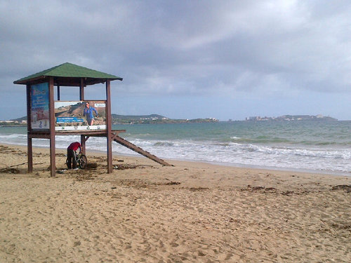 PinaE's profile picture. 