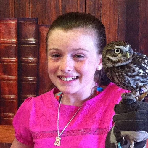 jadeojadeo's profile picture. Justinbieber :18/02/2013
Im a belieber :)