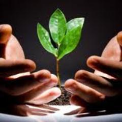 I am a teacher for English and Qur'anic Arabic. I love learning new things and sowing seeds in the learners' hearts.