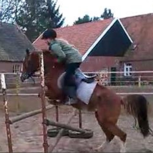 rijden