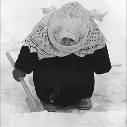 Kholobok's profile picture. 