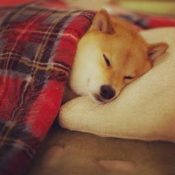 yuutubuyaki7's profile picture. 空腹は世界中で最上の調味料だ。
⇒　http://t.co/EQTanzIIir