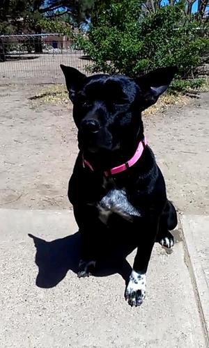 4DUKE2CITY0's profile picture. Some random person: Excuse me can you tell me HOW to get to this one random place? My response: VERY CAREFULLY! hash tag lol