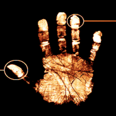 CienciaBizarra's profile picture. Divulgación racional y simplista.