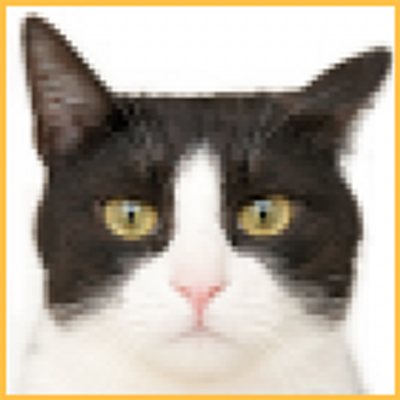 ねこっくま Namekomoriawase Twitter ねこっくま Namekomoriawase Twitter