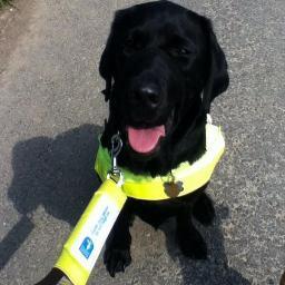 sherbertpooch's profile picture. 54/Accountant sight impaired mummy to Carlton my guide dog RIP Mummy to Biscuit, @Alfiepooch17, @KimiShaw07 & @AshRodriguezx man United fan, nanny to millie x