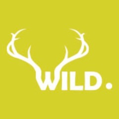 WILD. specialises in bespoke guided trekking trips, rock climbing, Irish wildlife tours and wild camping.  #WildAtlanticWay #Ireland #adventure