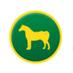 WelshPonyCobSociety (@welshponycobsoc) Twitter profile photo