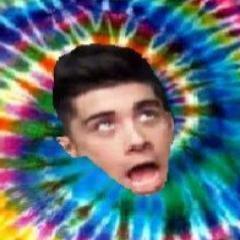 what is zayn malik where can i get a zayn malik