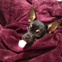 Chris Dulaney - @ChrisDulaney - Twitter