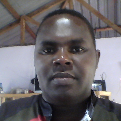 majohana's profile picture. young an d inovative,