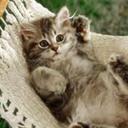 Hugh Lyons - @HughLyons3 - Twitter